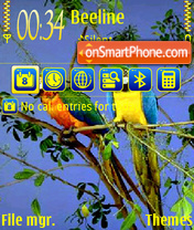 Capture d'écran Parrot 02 thème