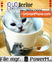 Скриншот темы Kitten in Cup