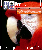 Parrot 03 Theme-Screenshot