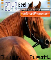 Horsy tema screenshot