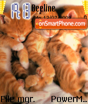 Sleepy Kittens tema screenshot