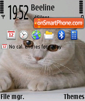 Cats 13 Theme-Screenshot