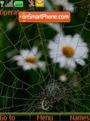 Flower and spider tema screenshot