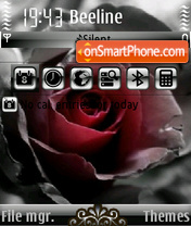 Rose 15 tema screenshot