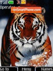 Bangal Tiger Theme-Screenshot