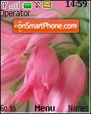 Pink Flowers tema screenshot