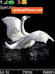 Swan animated es el tema de pantalla