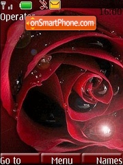 Red Rose tema screenshot