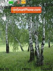 Скриншот темы Birch grove