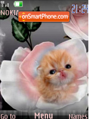 Rose $ Kitten Flash slide theme screenshot