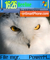 Owl Theme es el tema de pantalla