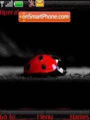 Lady Bug 01 Theme-Screenshot