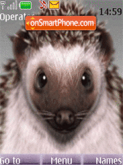 Capture d'écran Hedgehog thème