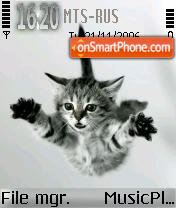 Cat tema screenshot