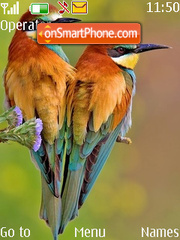 Birds tema screenshot