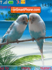 Love birds theme screenshot