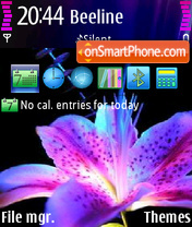 Purple Flower 01 tema screenshot