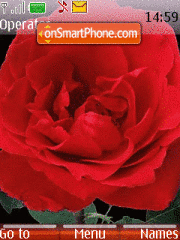 Red rose tema screenshot