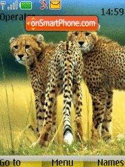 Скриншот темы Skinny Cheetahs