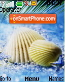 Sea Shell es el tema de pantalla