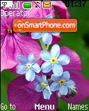 Spring Blossoms tema screenshot