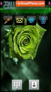 Green Rose 01 theme screenshot