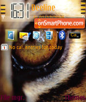 Wild Tiger Eyes theme screenshot