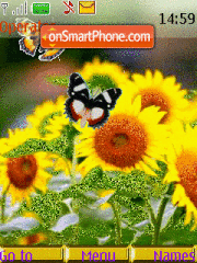 Скриншот темы Sunflowers and Butterfly