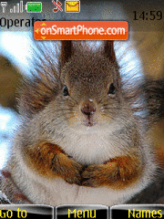 Squirrel tema screenshot