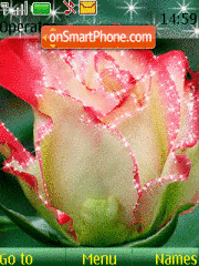 Rose tema screenshot