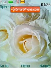 White rose es el tema de pantalla