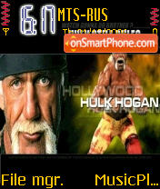 Скриншот темы Hulk Hogan