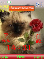 Cat and Rose SFW theme screenshot