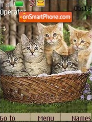 Kitten tema screenshot