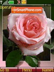 Pink Rose tema screenshot