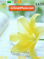 Скриншот темы Yellow Flower