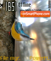 Capture d'écran Yellow Bird thème