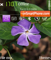 Flower 07 theme screenshot