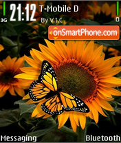 Sunflower 06 tema screenshot