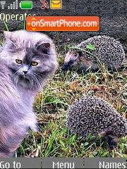 Cat and Hedgehog theme screenshot
