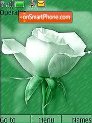 Green Roses tema screenshot