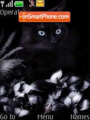 Скриншот темы Black cat