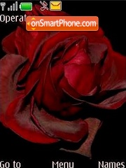 Roses tema screenshot