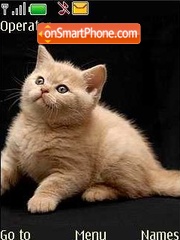 Kittens tema screenshot