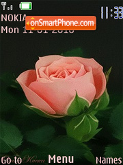 Rose flash 1.0 es el tema de pantalla