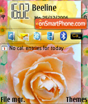 Friendship Roses es el tema de pantalla