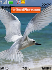 White Bird Flying tema screenshot