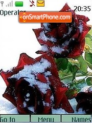 Roses in snow tema screenshot