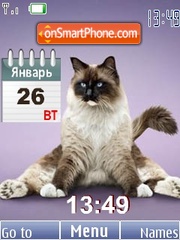 Yoga cats theme screenshot