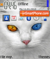 White Cat 02 Theme-Screenshot